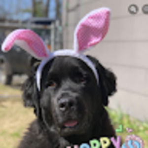 Meet your Posher, Robbie